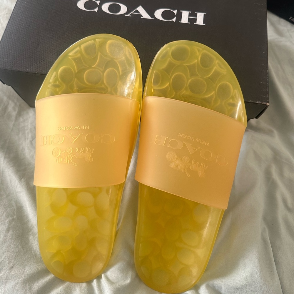 Coach slides